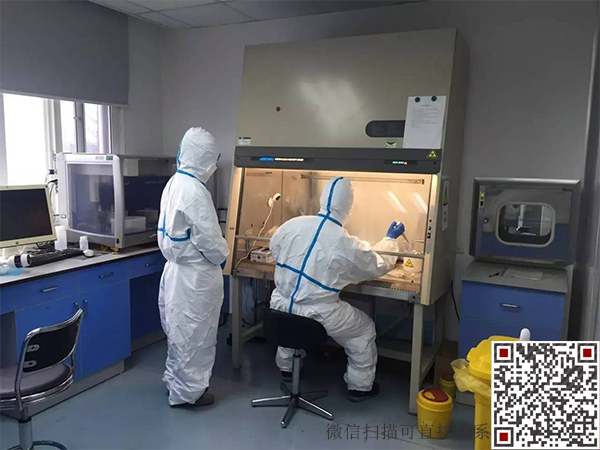 微信二维码 拷贝.jpg