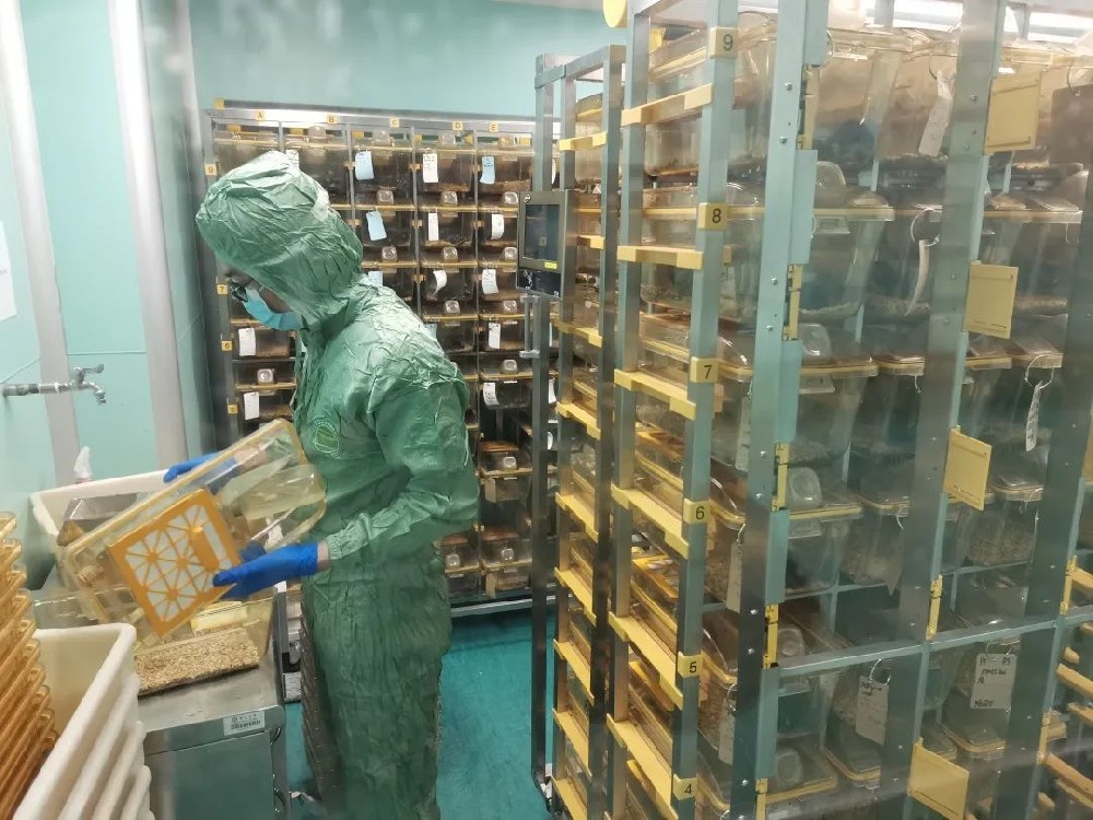 动物实验室建设要求与注意事项